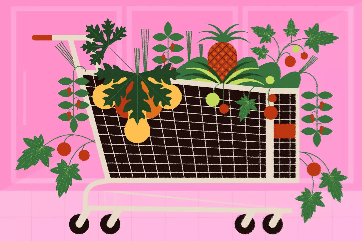 How to turn grocery store staples into plants that will thrive in an L.A. garden