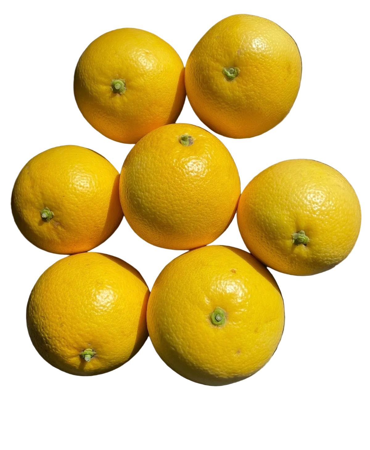Valencia Orange