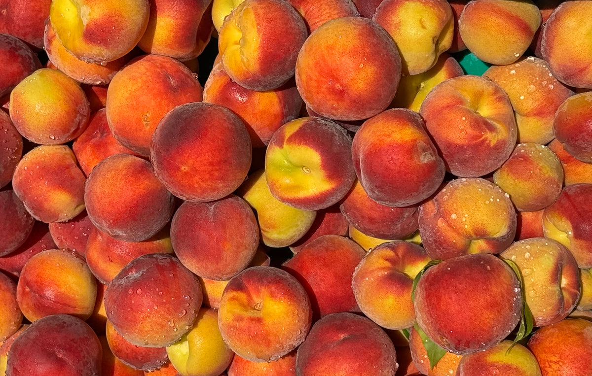 Yellow Peach