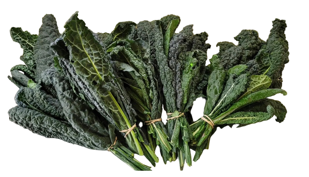 Lacinato Kale Bunch