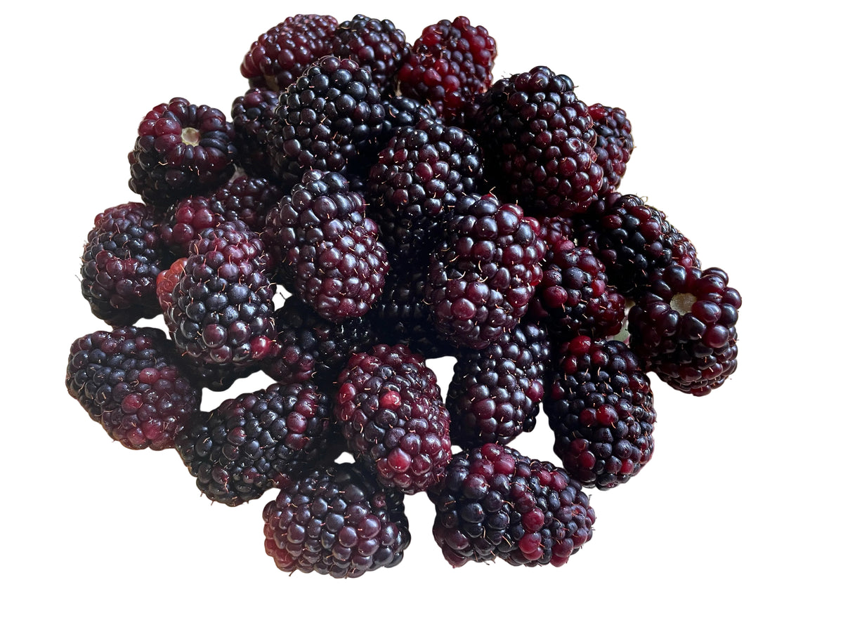 Blackberries