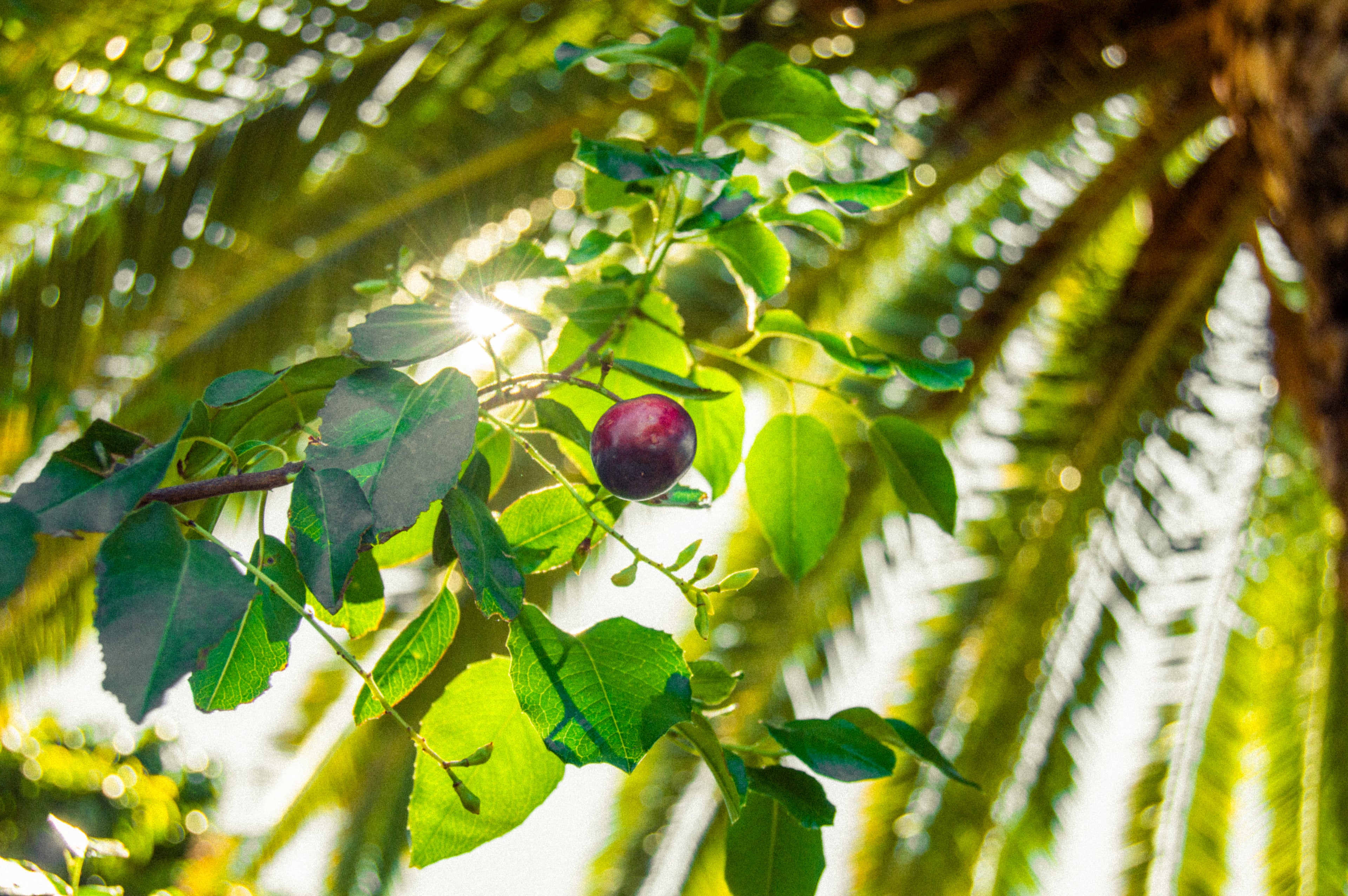 Agrotours & Farm Visits