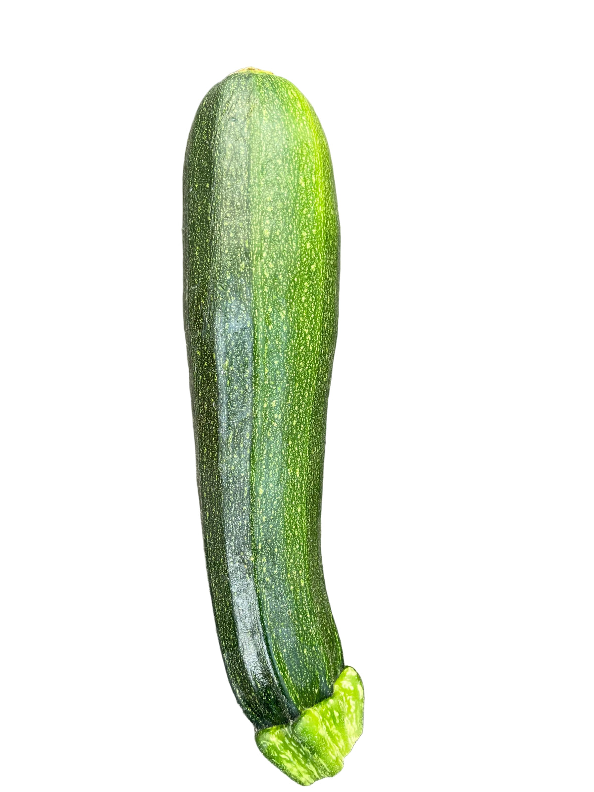 Zucchini