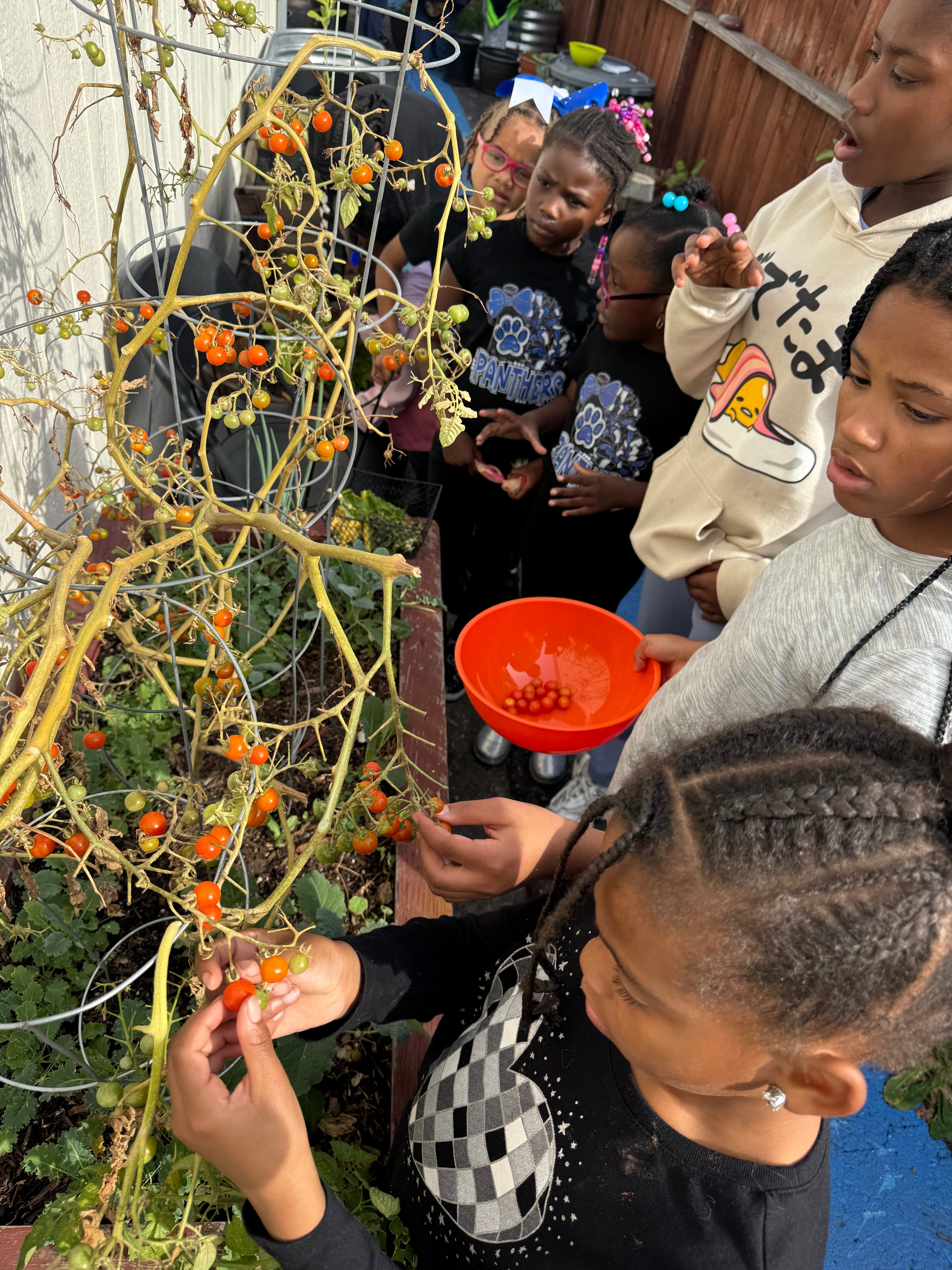 Educational Programming & Workshops