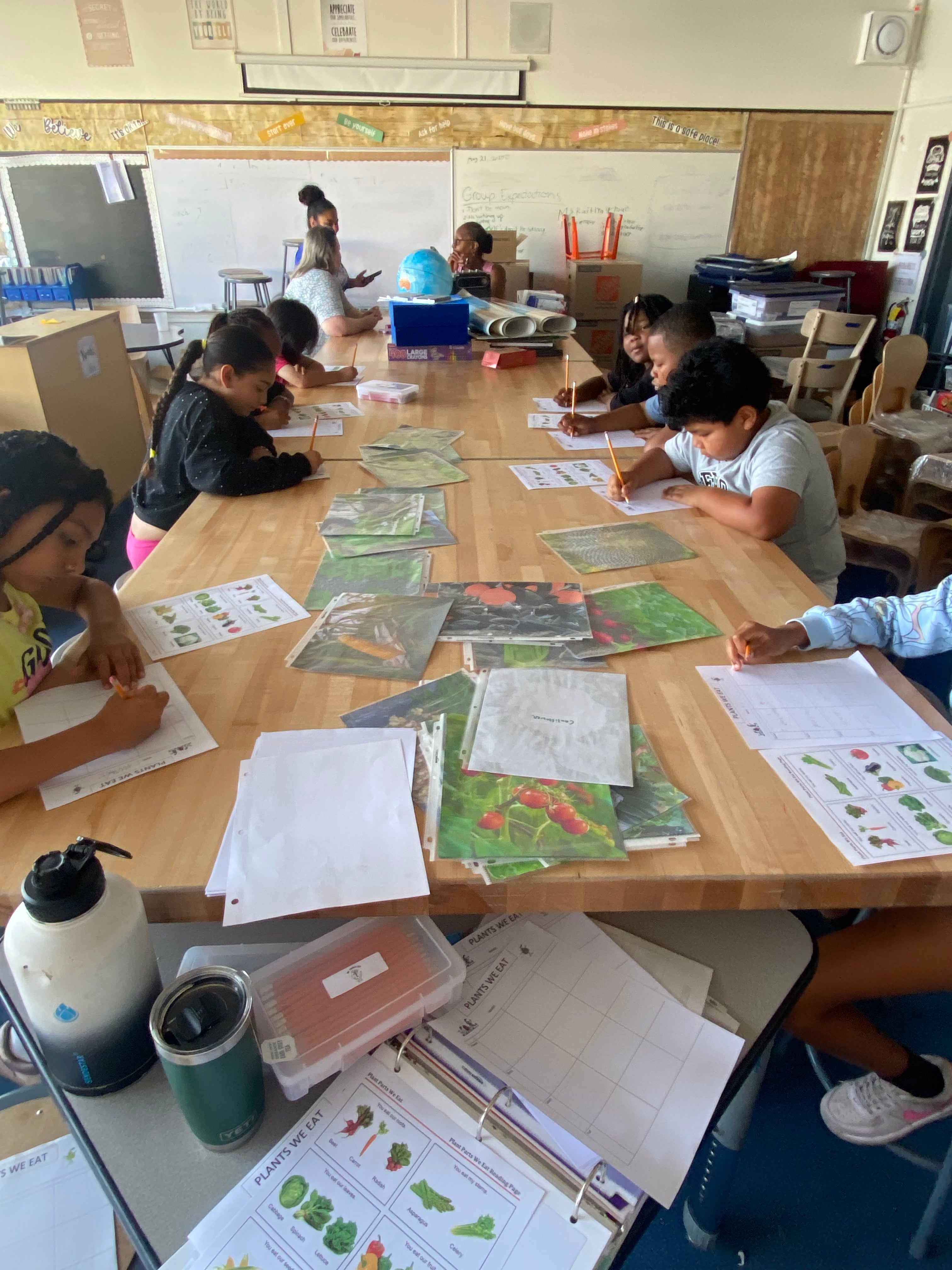 Educational Programming & Workshops