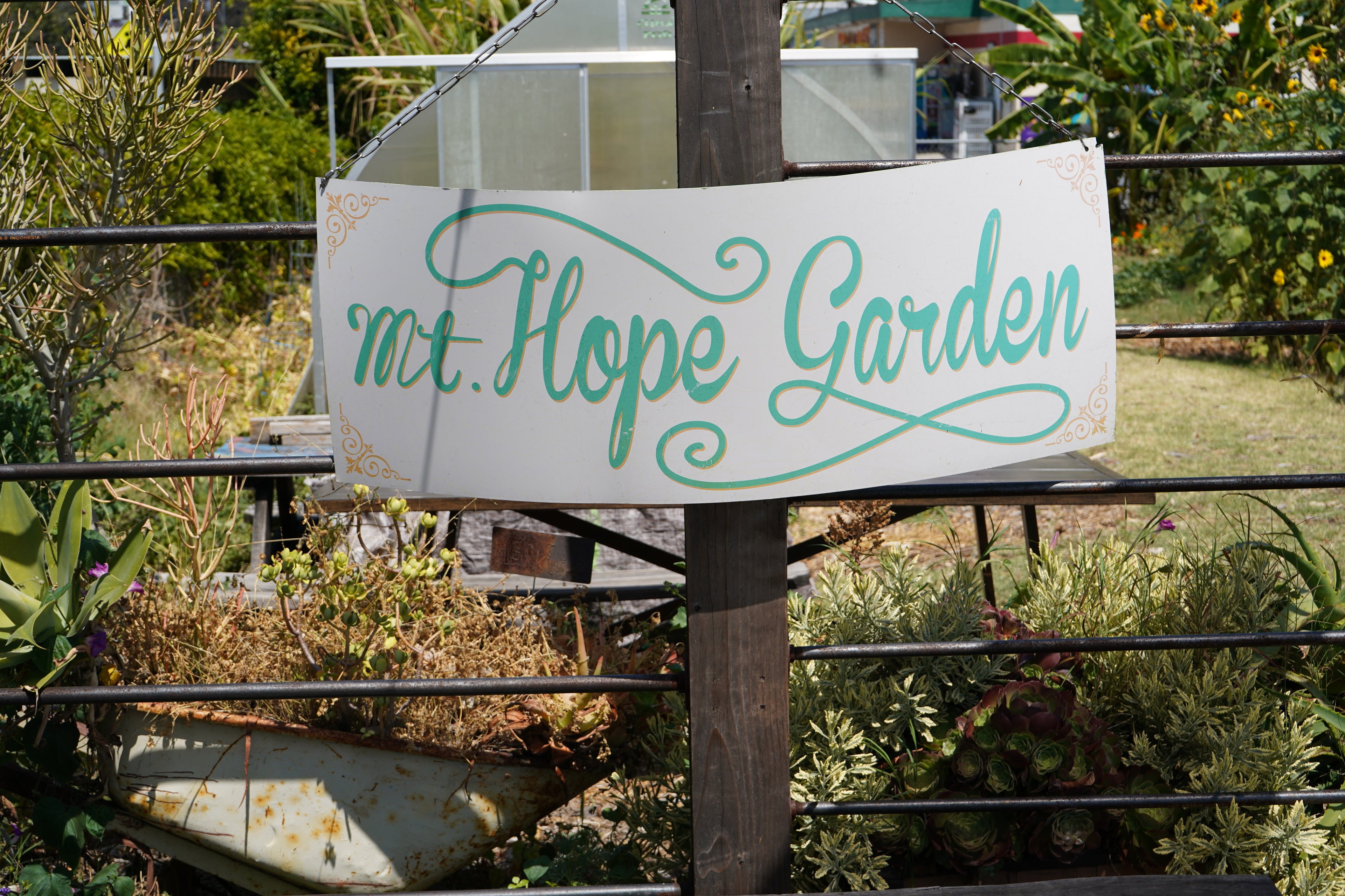 California Black Farmer Initiative