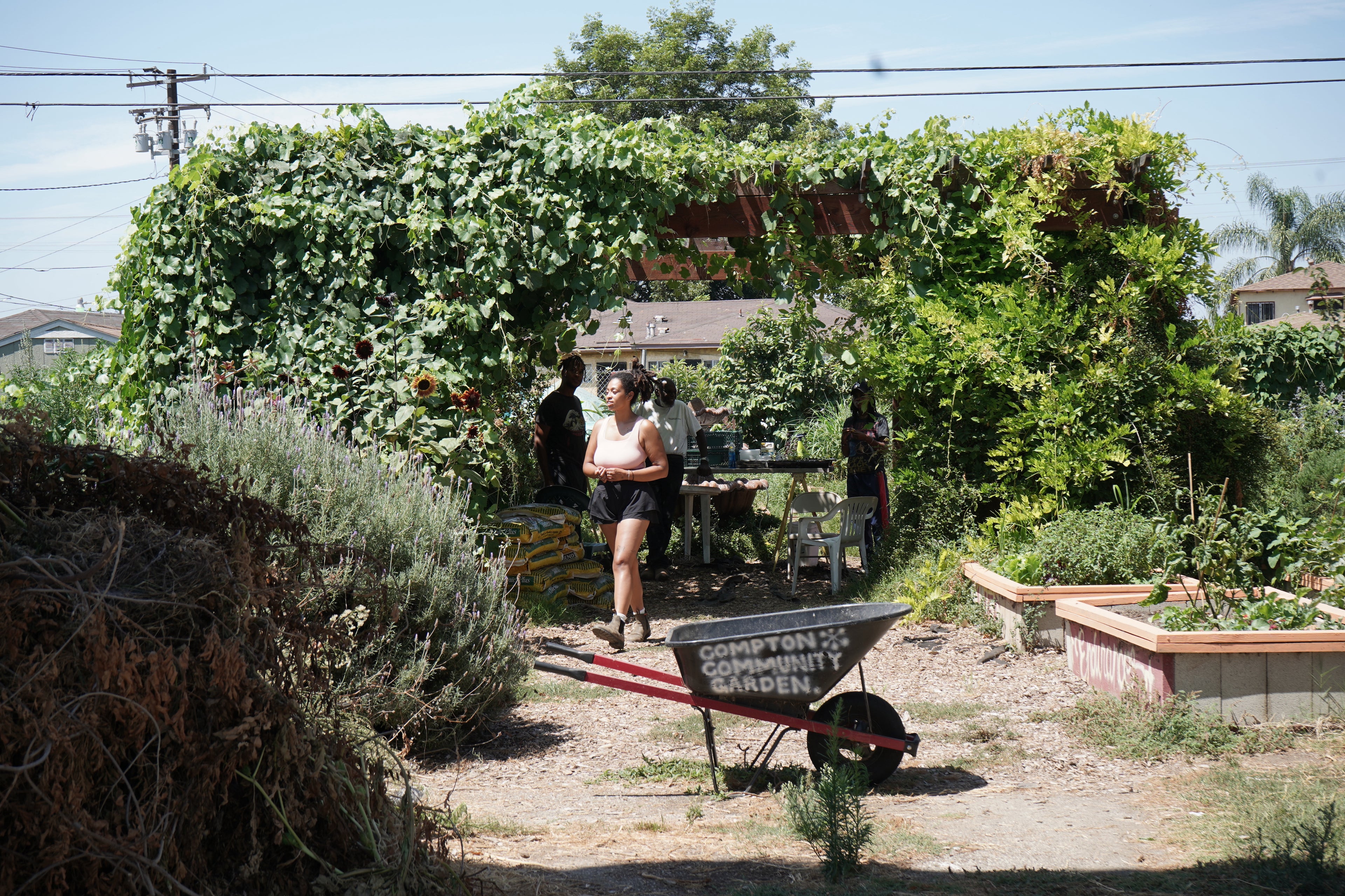 California Black Farmer Initiative