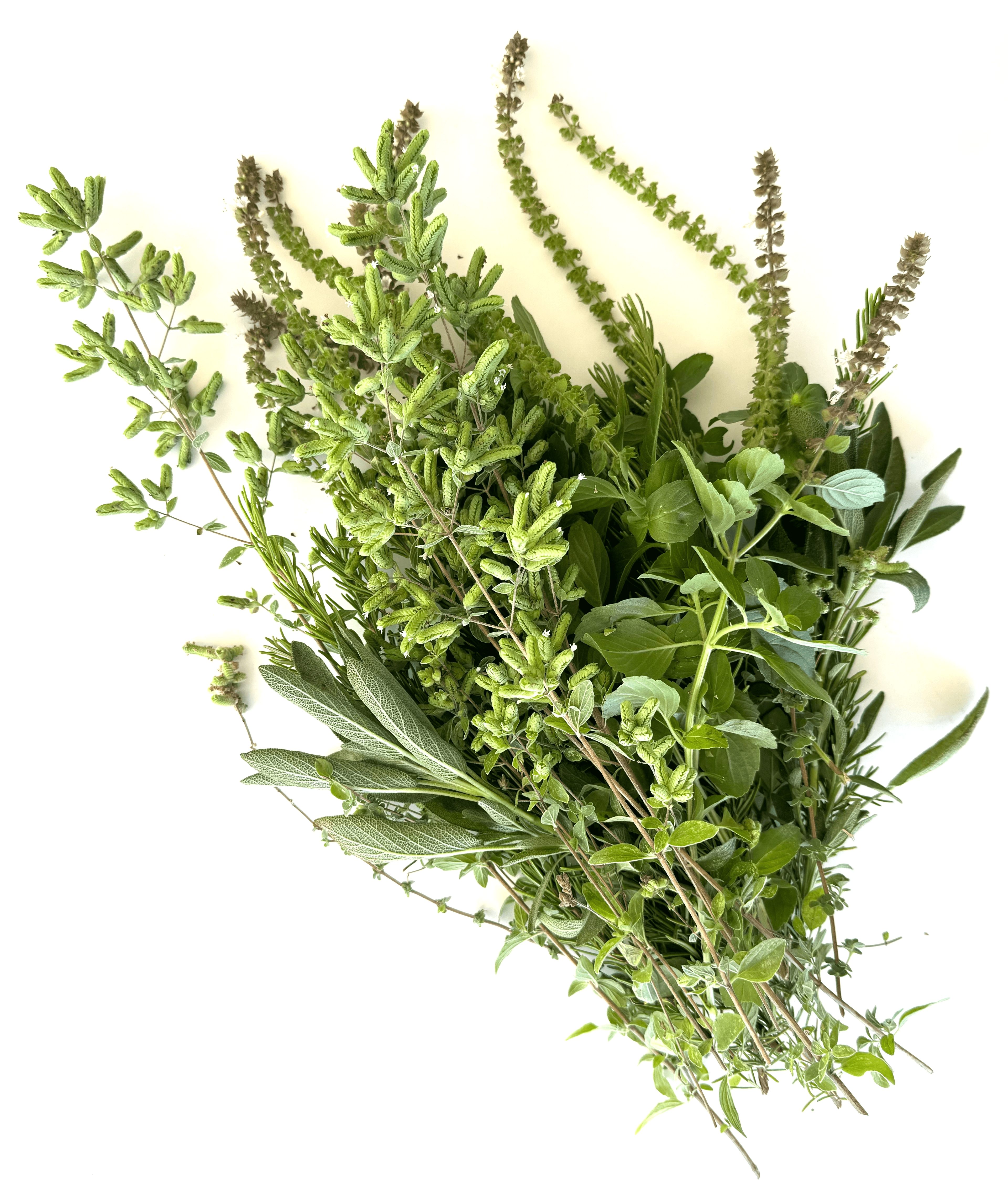 Culinary Herb Bundle
