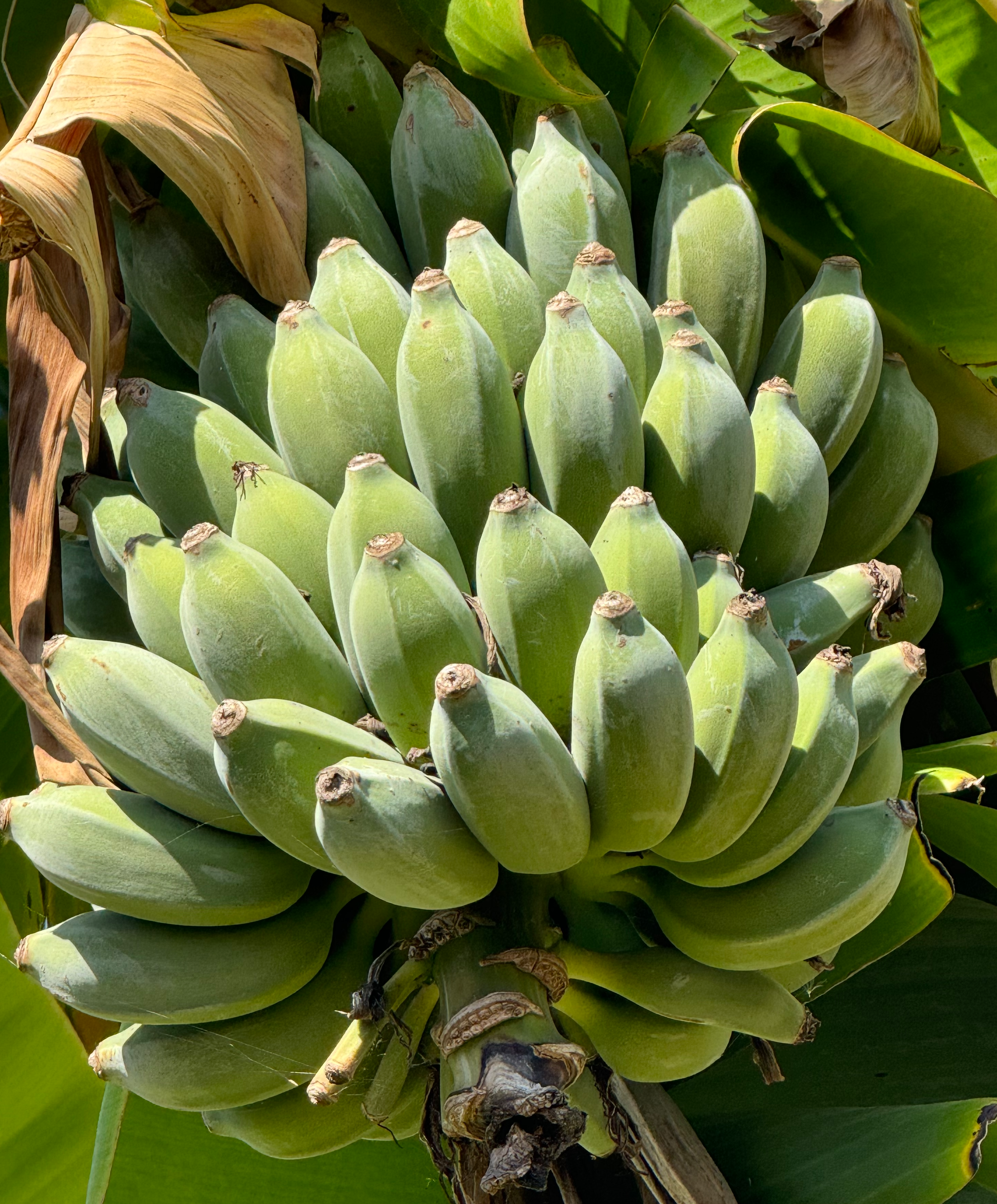 Agrotours & Farm Visits