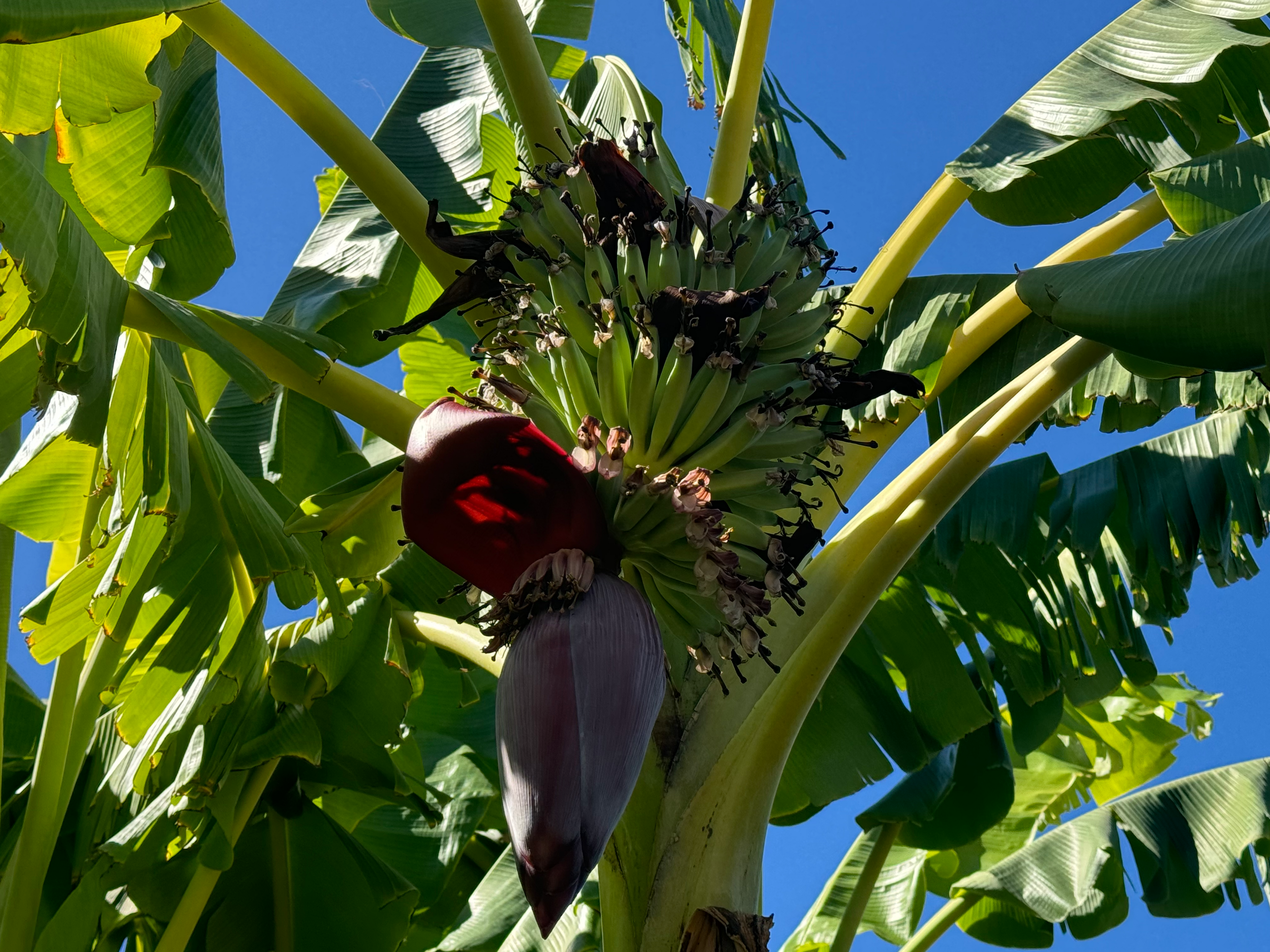 Agrotours & Farm Visits