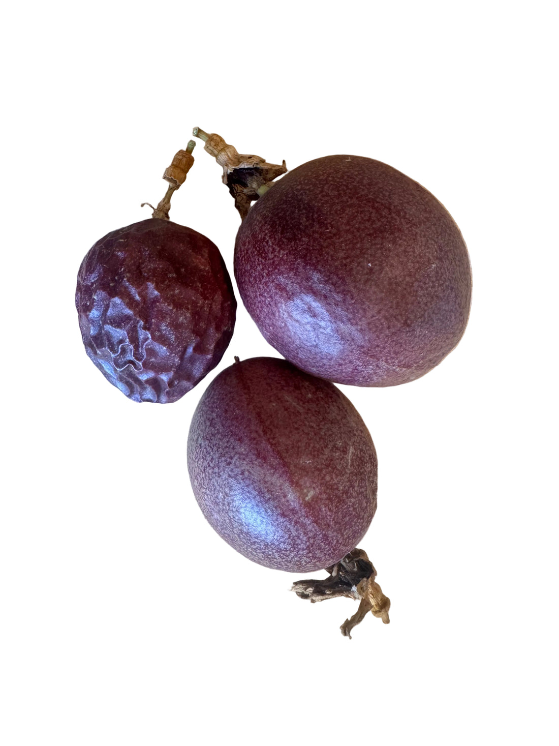 Purple Passionfruit