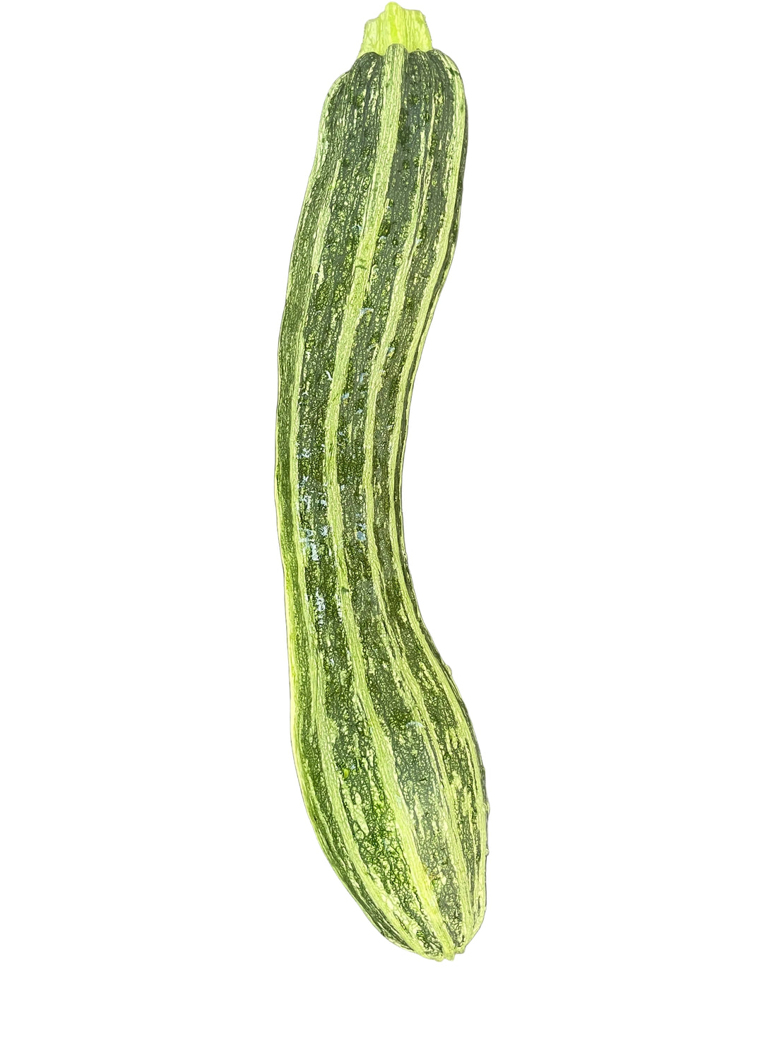Zucchini