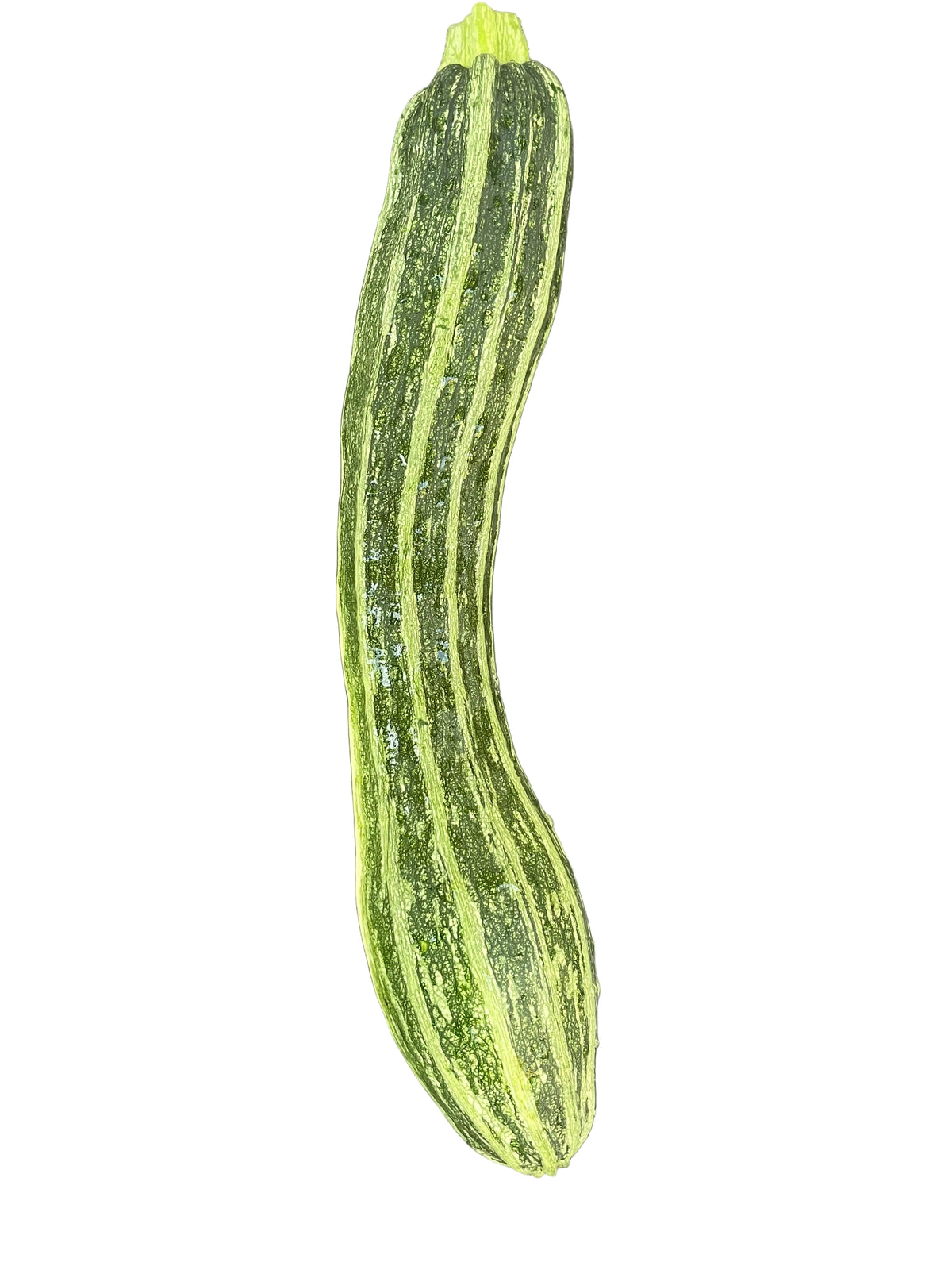 Zucchini