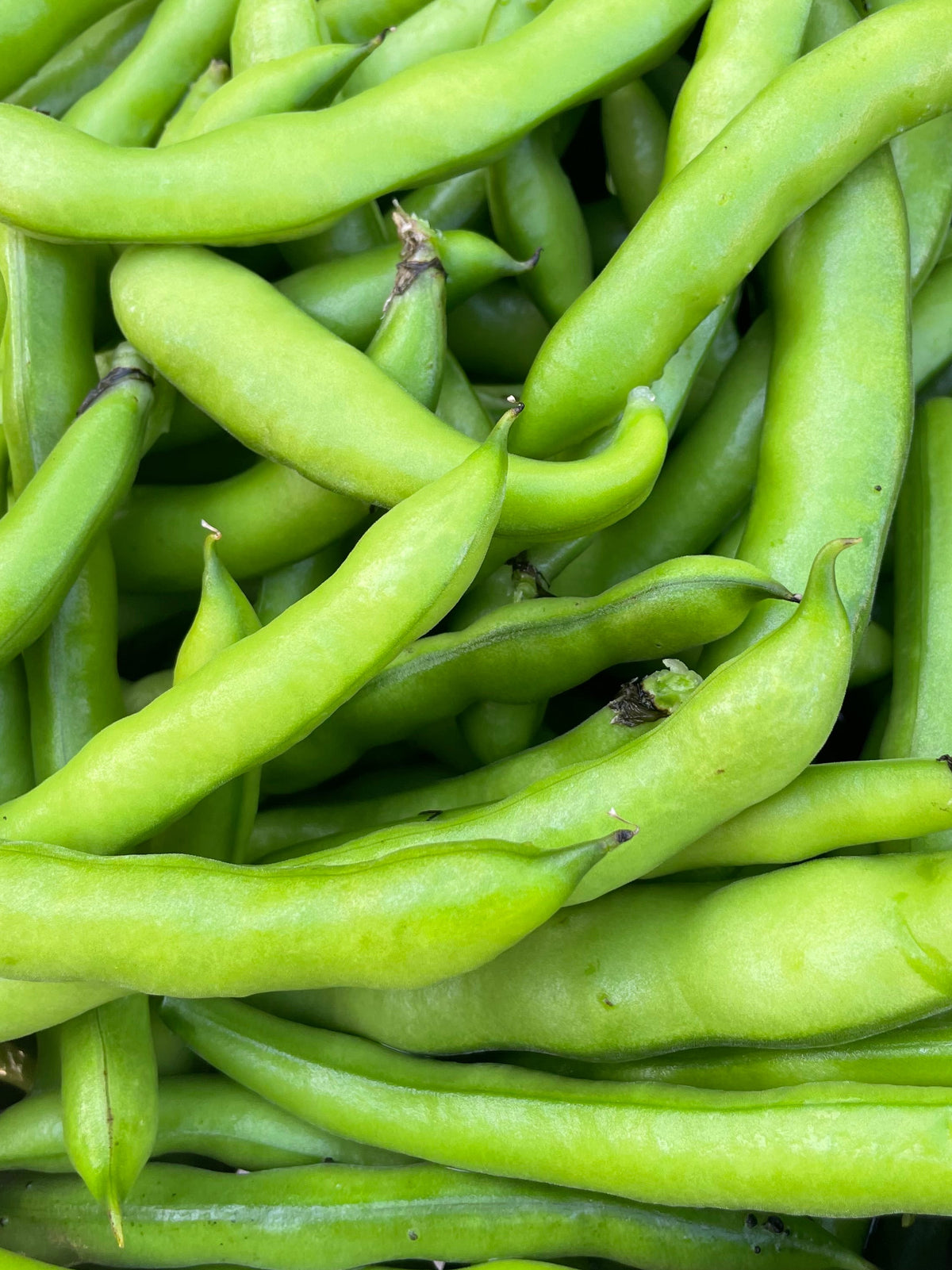 Green Beans (Bag)