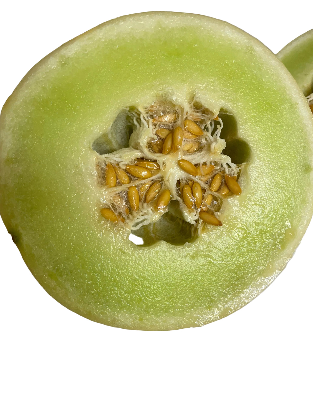 Honeydew Melon