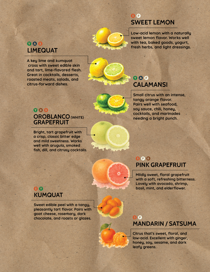 Seasonal Organic CSA Fruit Box