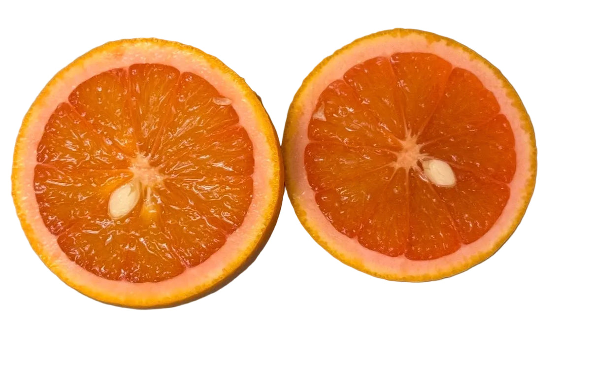Vaniglia Sanguigno Blood Orange
