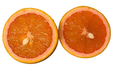 Vaniglia Sanguigno Blood Orange