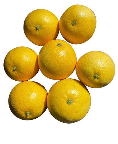 Valencia Orange