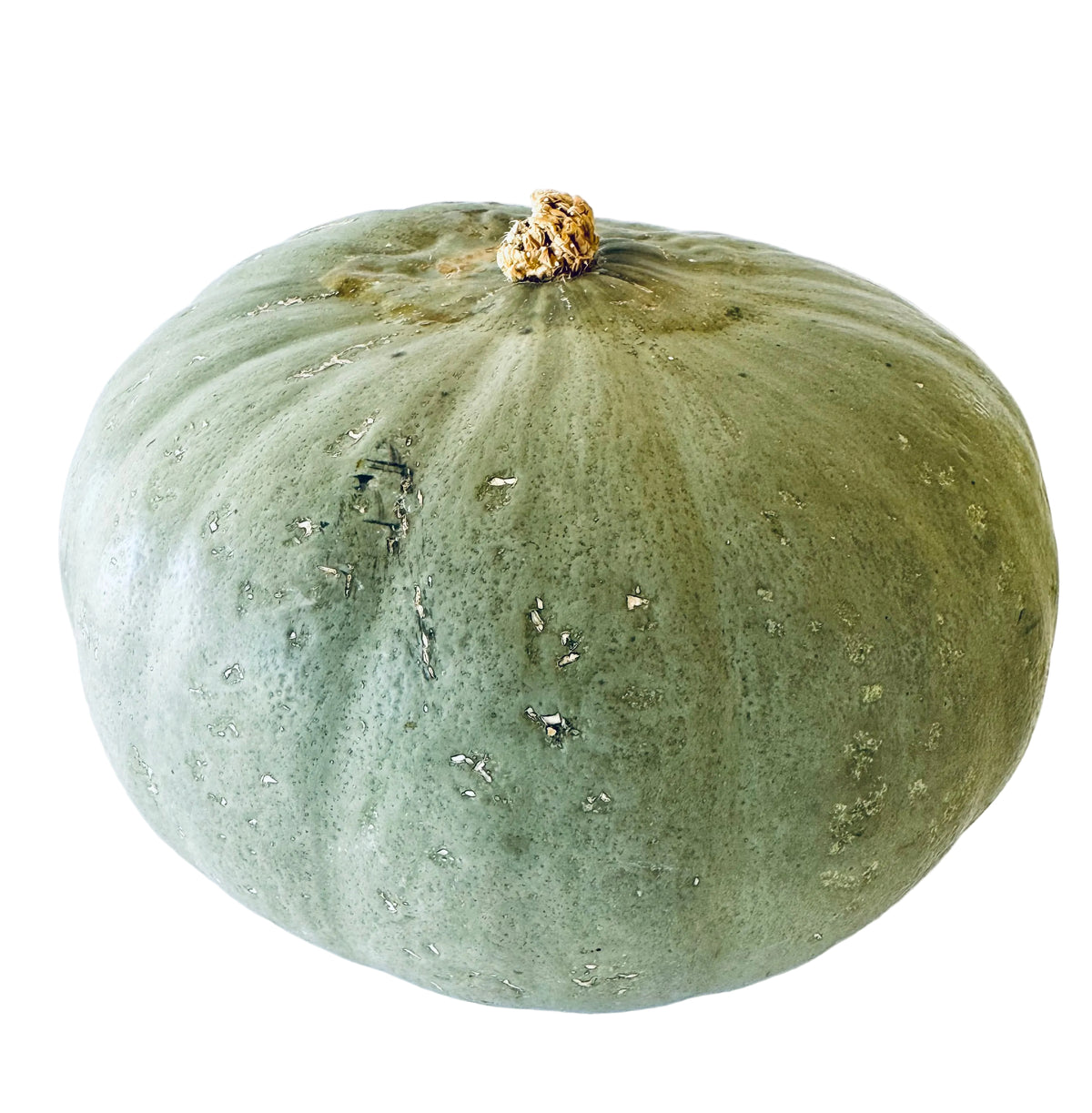 Sweet Meat Winter Squash