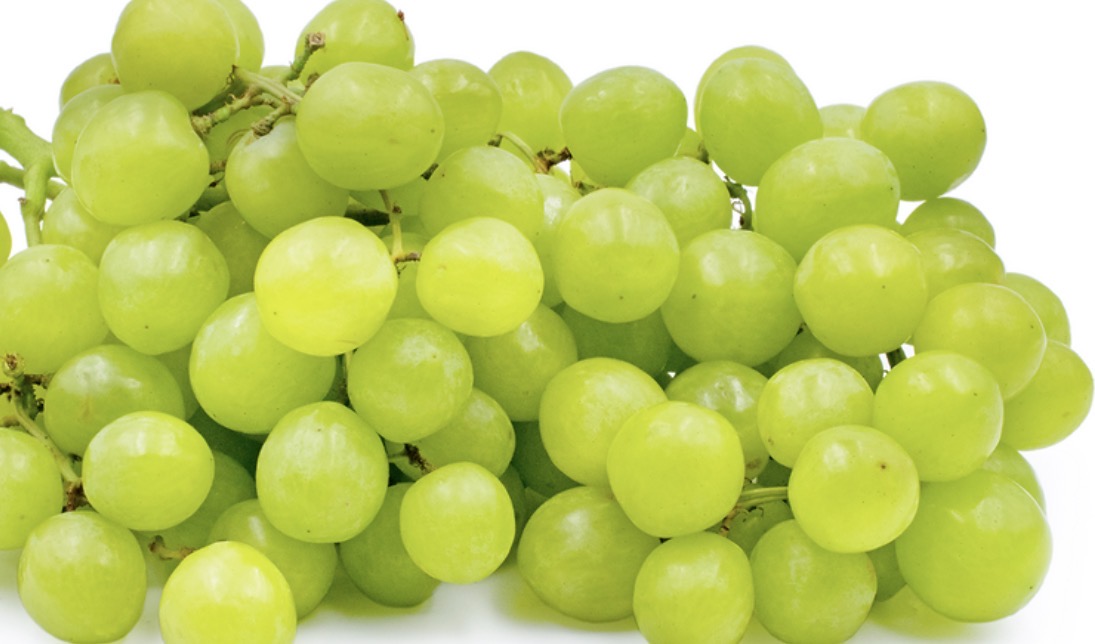Princess Seedless Table Grape