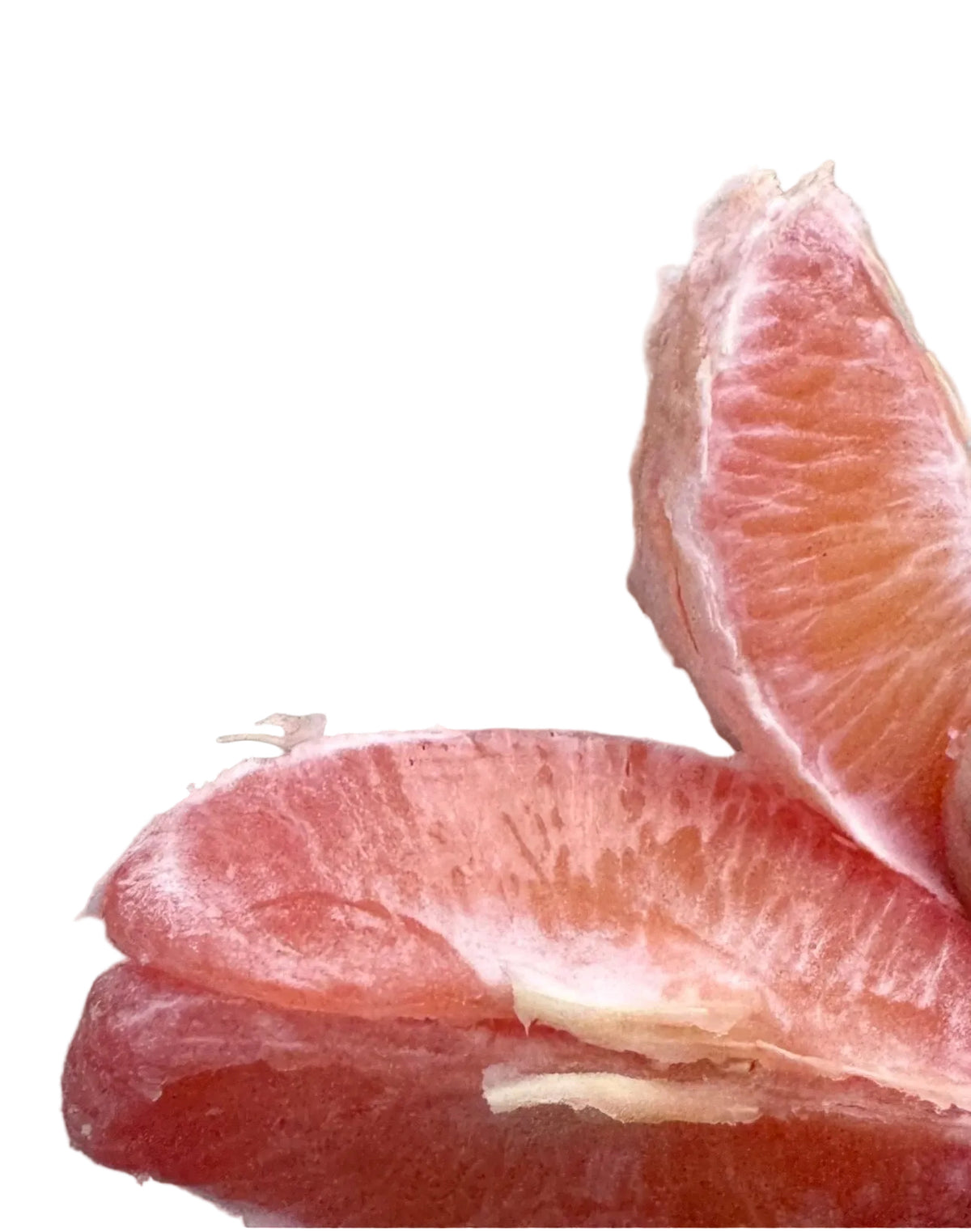 Vaniglia Sanguigno Blood Orange