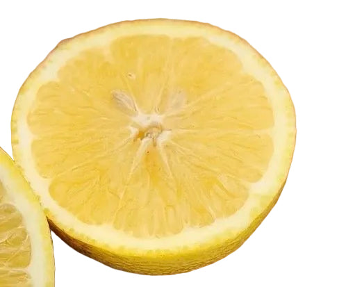 New Zealand Lemonade Lemon
