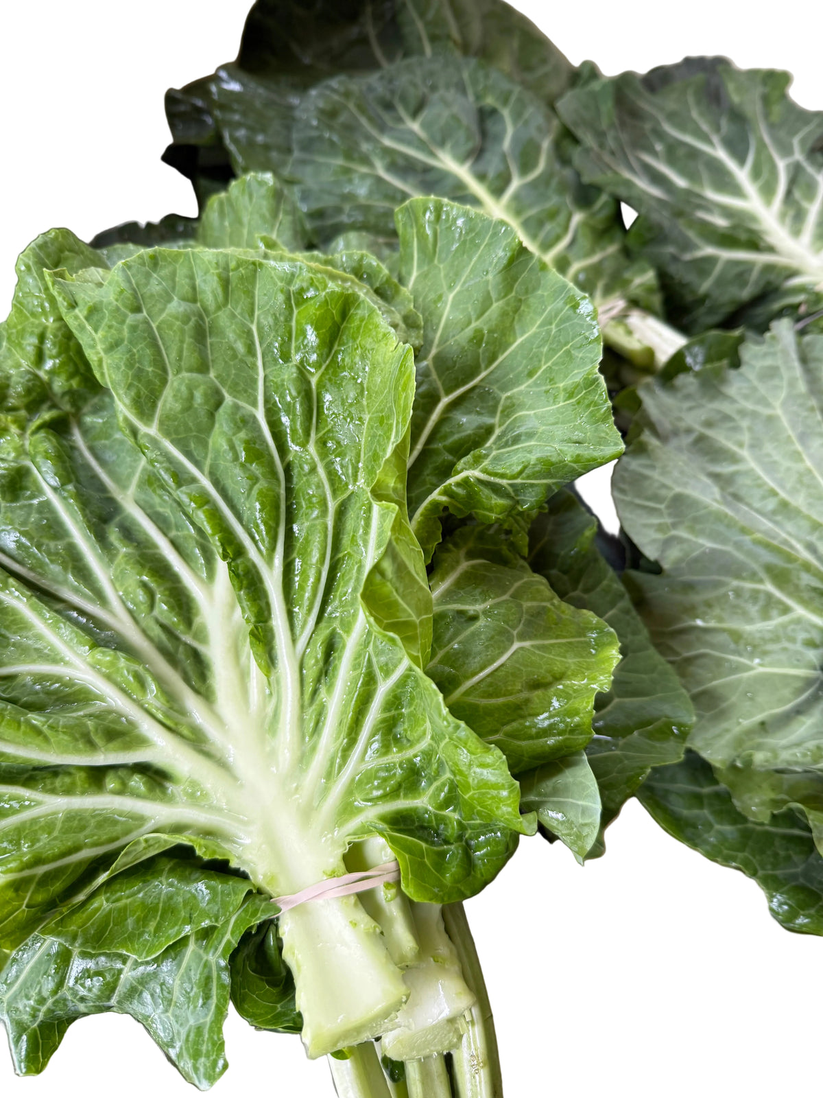 Portuguese Kale Bunch