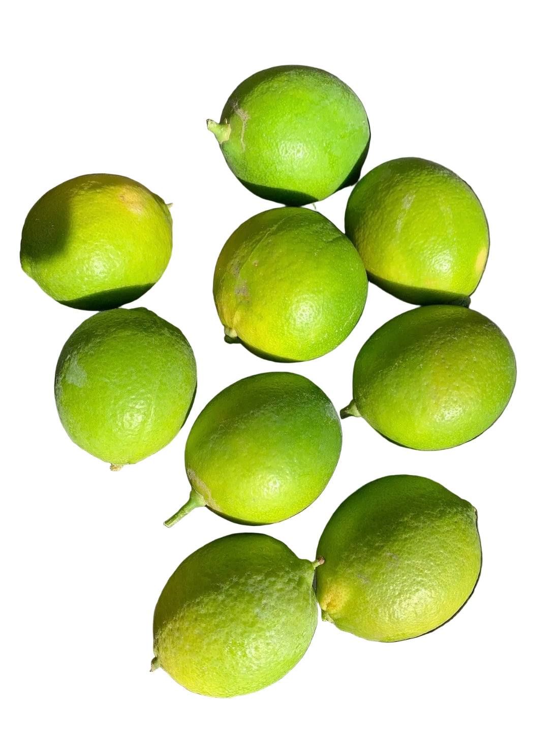 Bearss Lime 5 pack