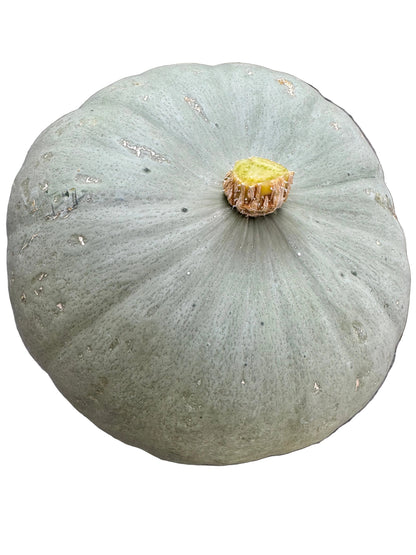 Sweet Meat Winter Squash