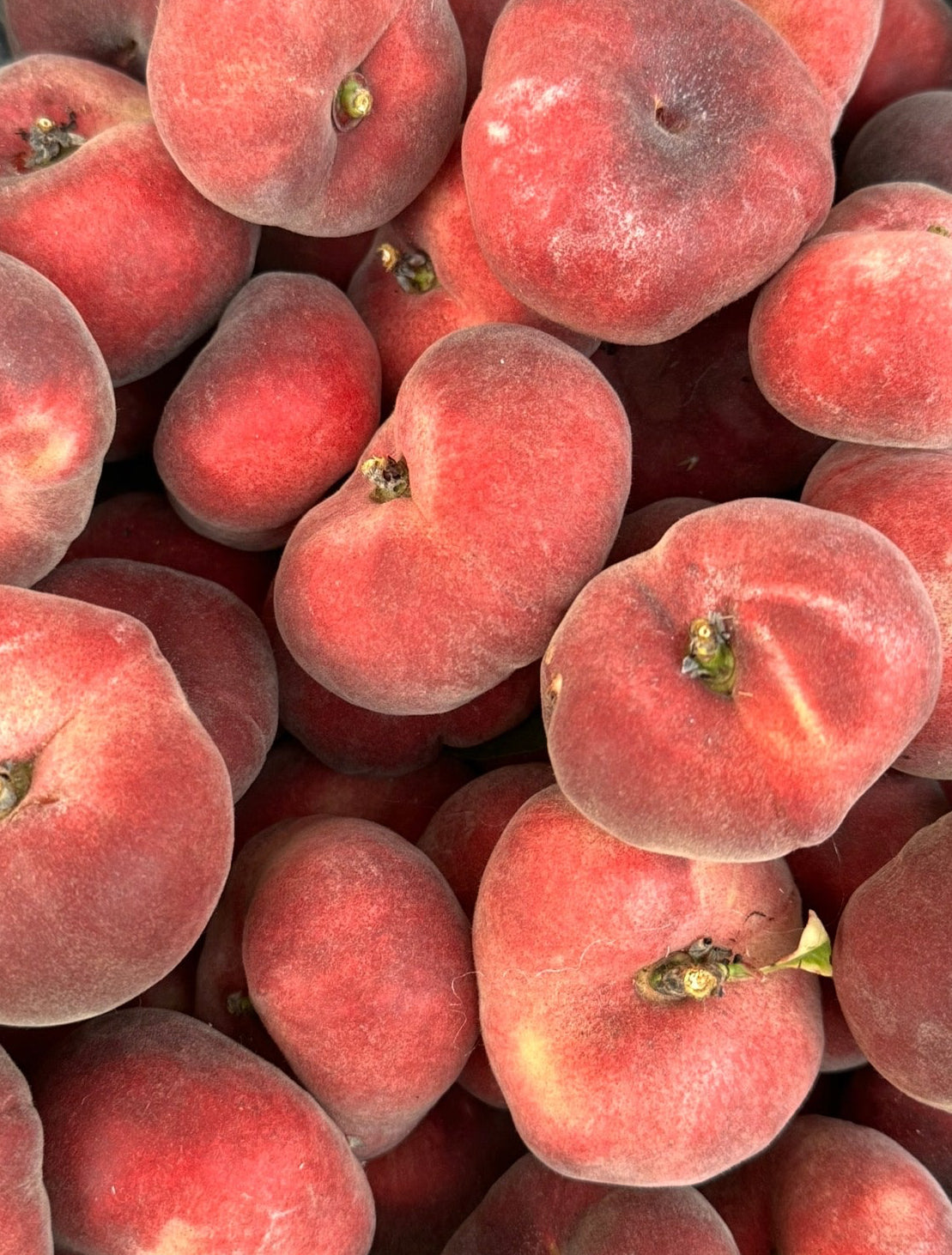 Sauzee Swirl Donut Peach 2 Pack