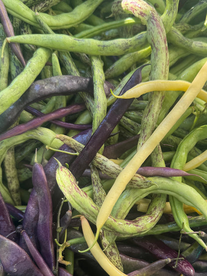 Green Beans (Bag)