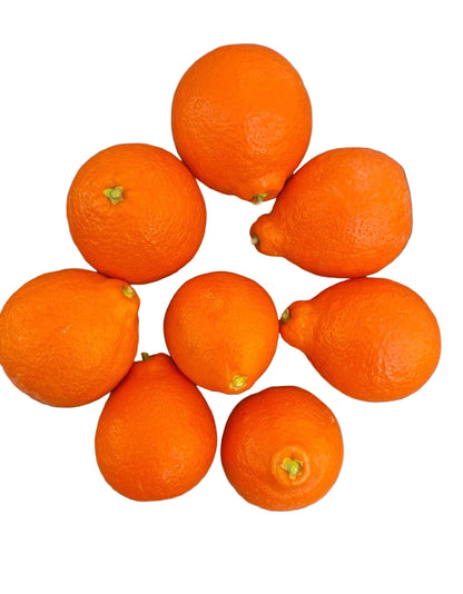 Tangelo 3 pack