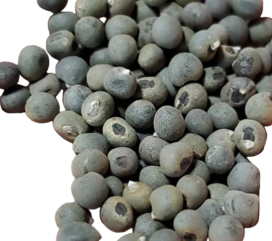 Organic Spineless Okra Seeds