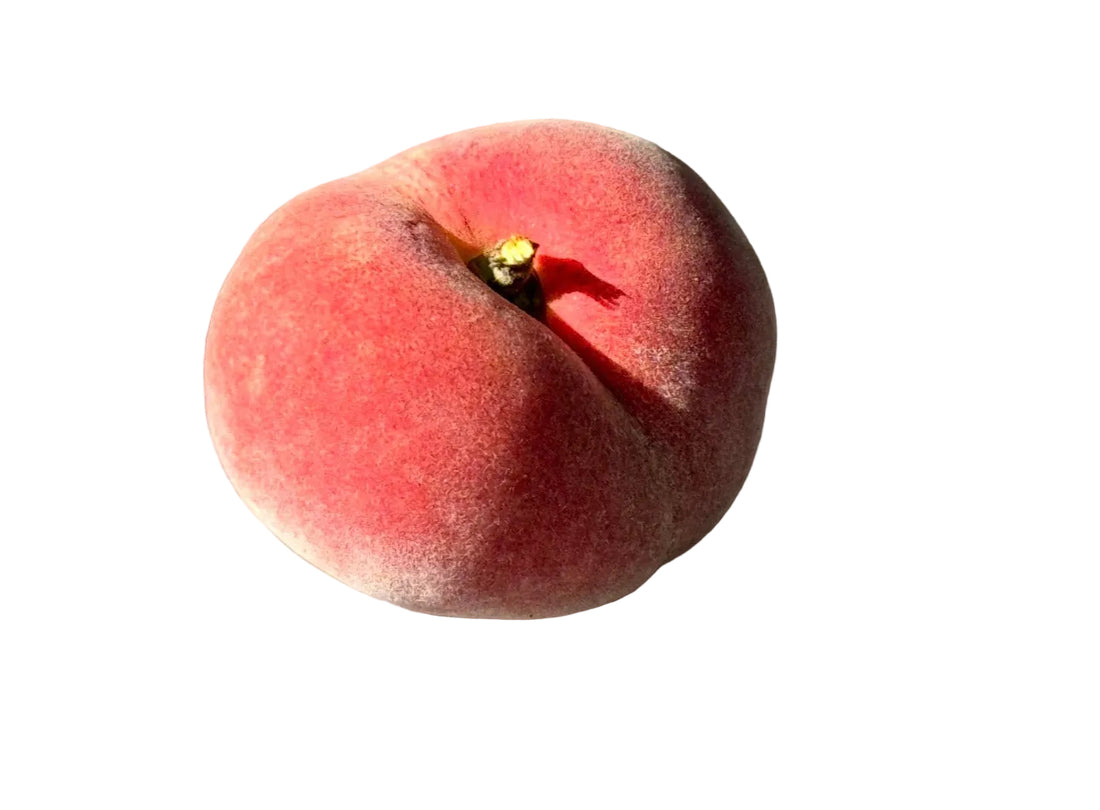 Sauzee Swirl Donut Peach 2 Pack