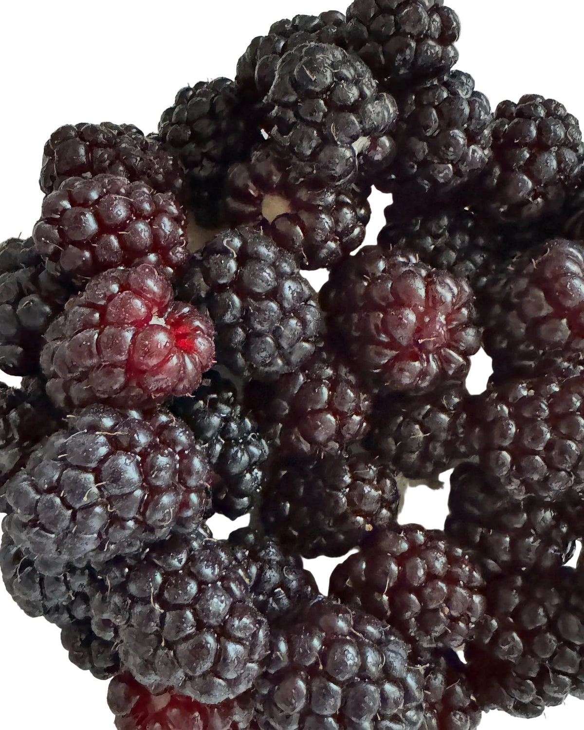 Boysenberries