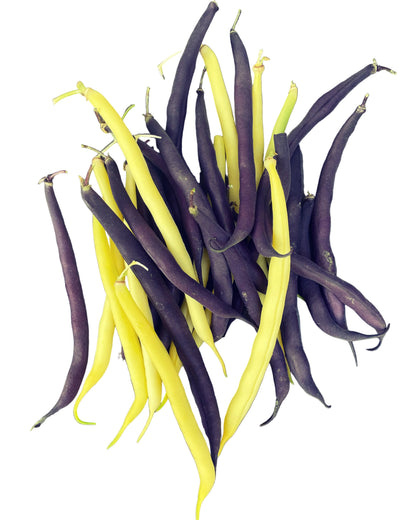 Green Beans (Bag)