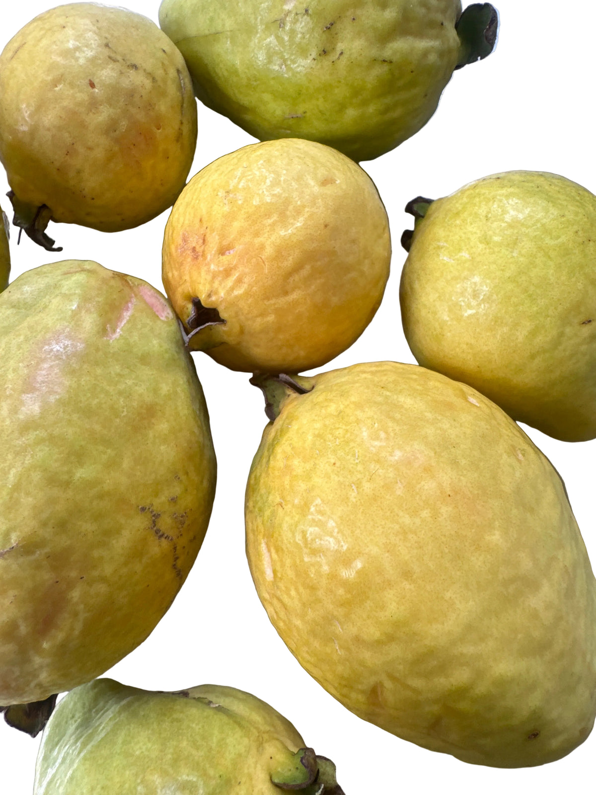 Pink Guava