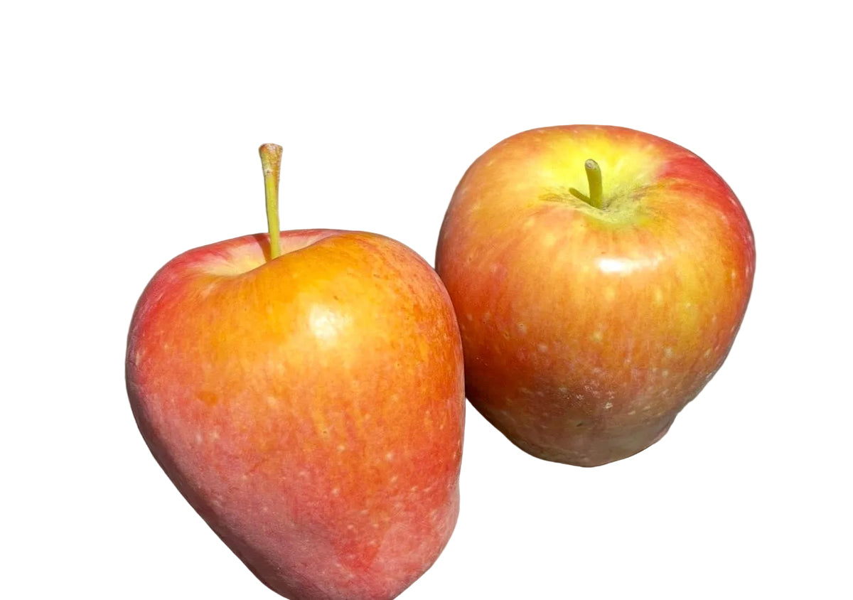 Anna Apple 2 pack