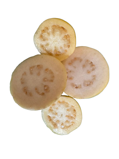 White Guava