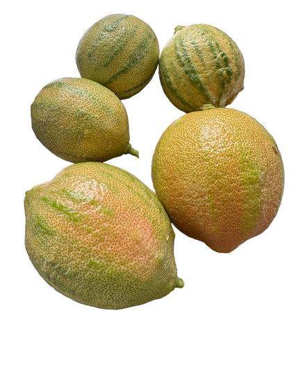 Pink Eureka Lemon