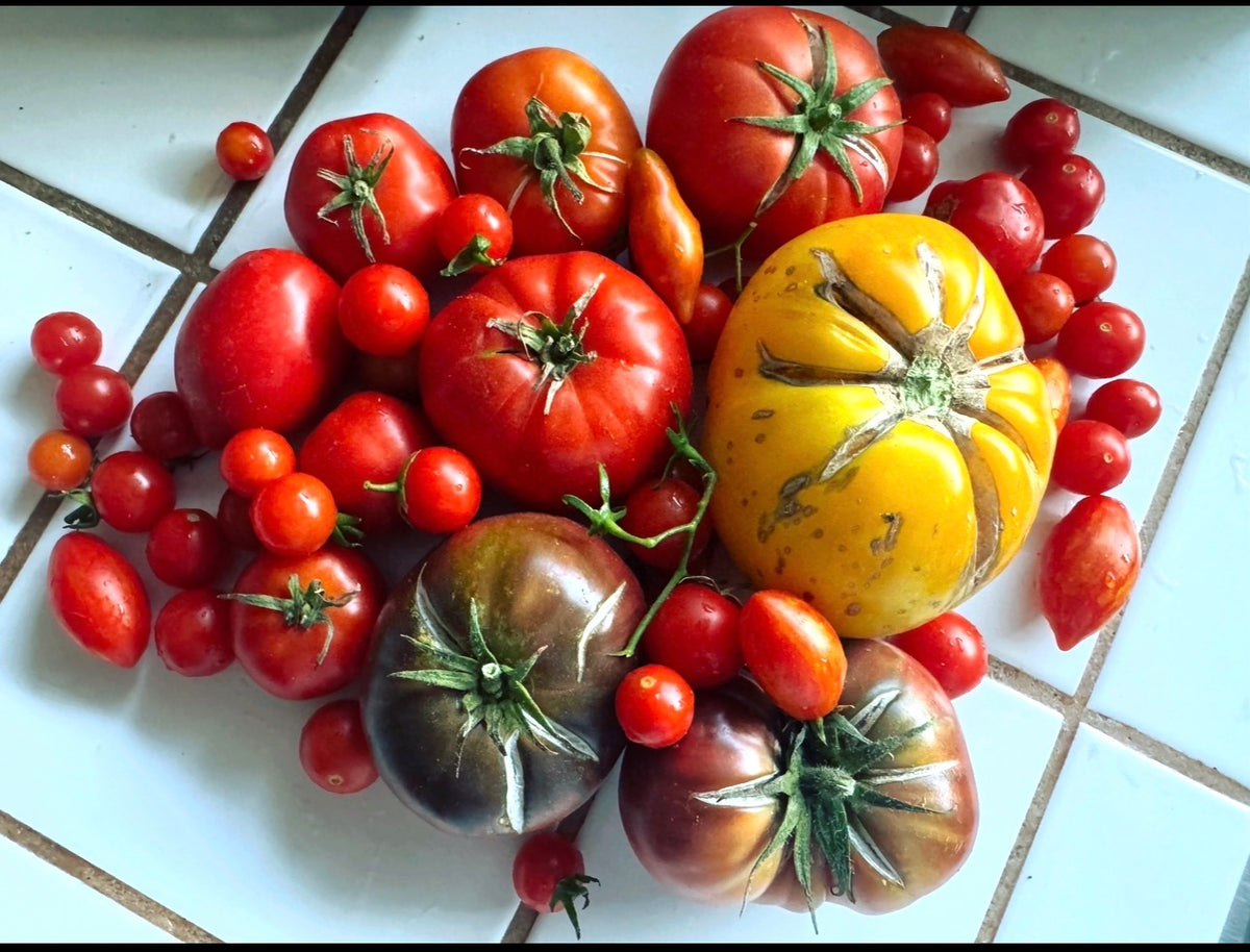 Heirloom Tomato Mix