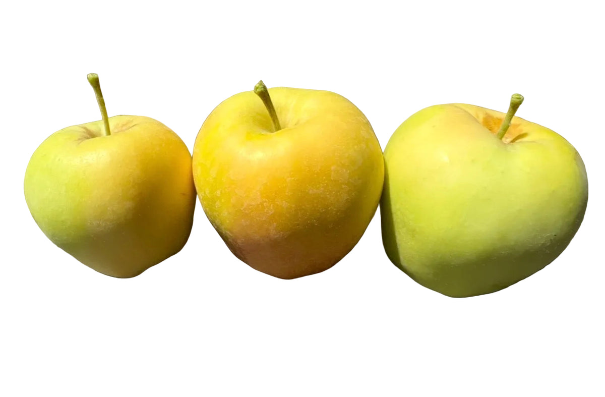 Golden Dorsett Apple 2 pack