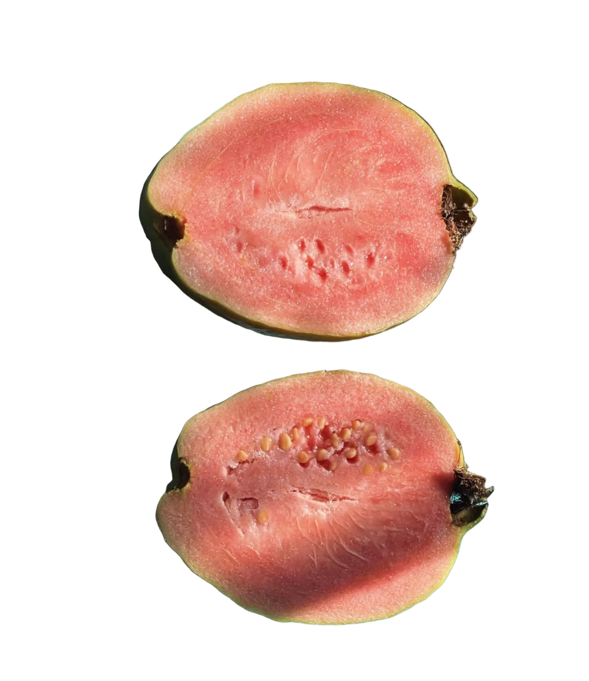 Pink Guava