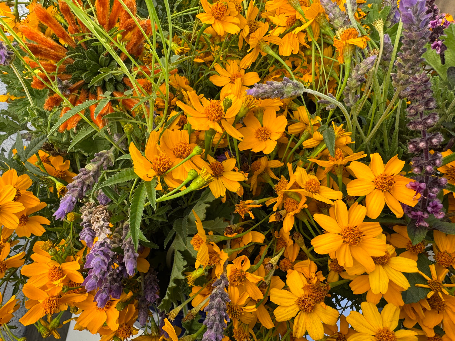 Mixed Flower Bouquet