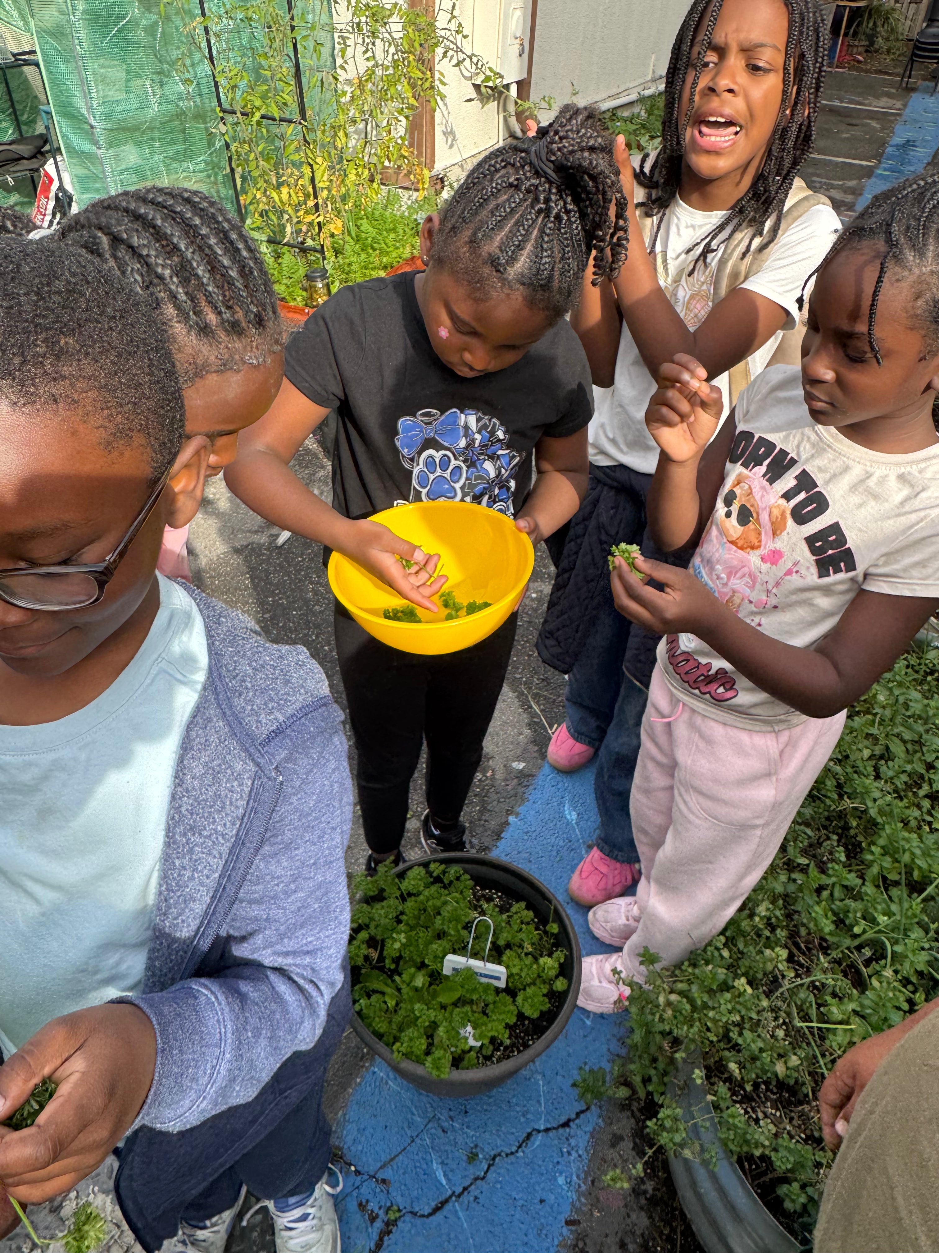 Educational Programming &amp; Workshops