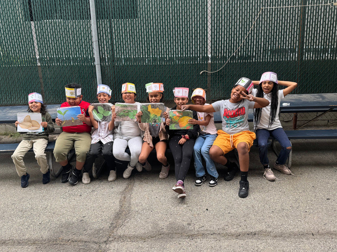 Educational Programming &amp; Workshops