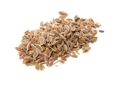 Organic Dill Seeds