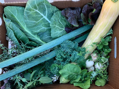 Seasonal Organic Harvest Box