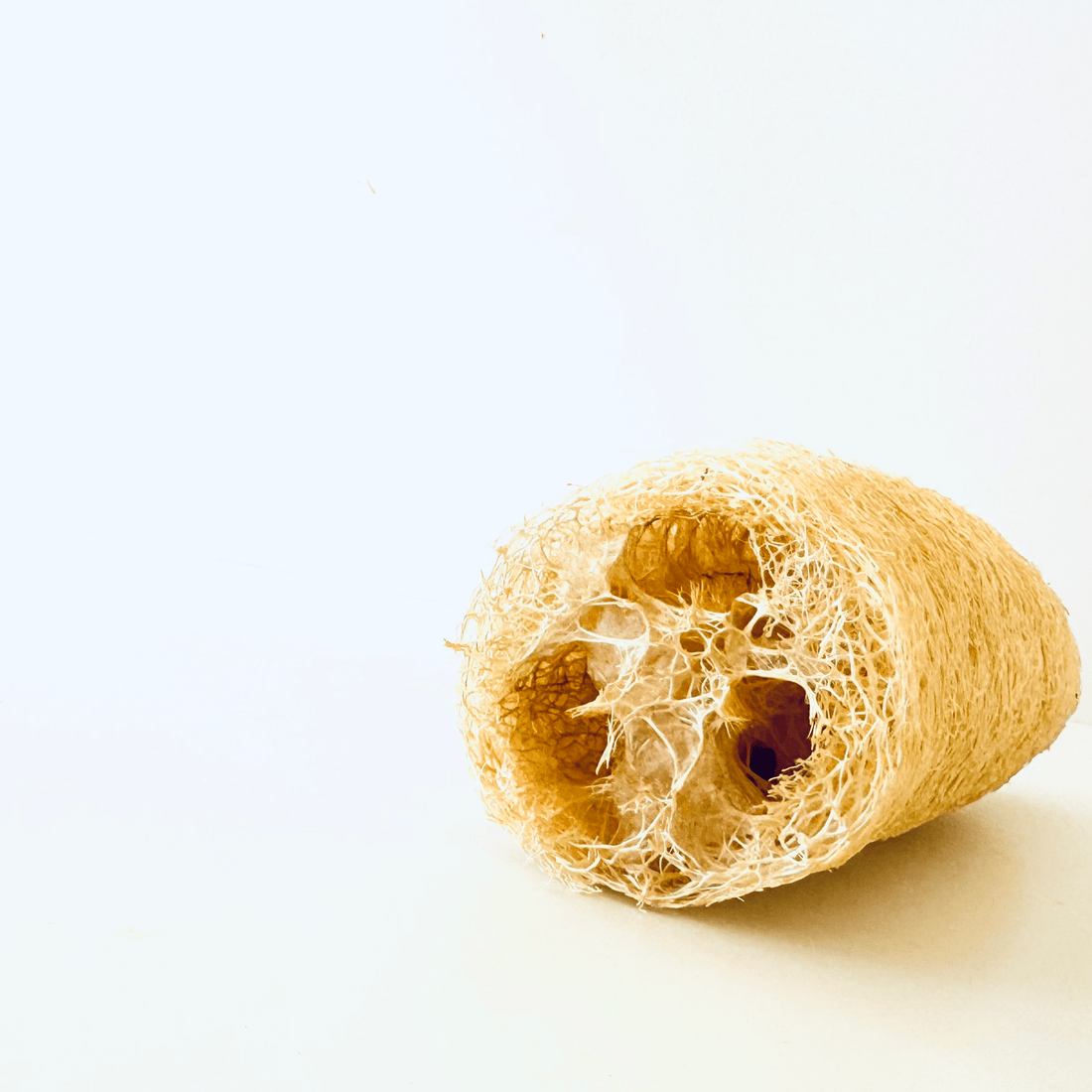 Organic Luffa Seeds